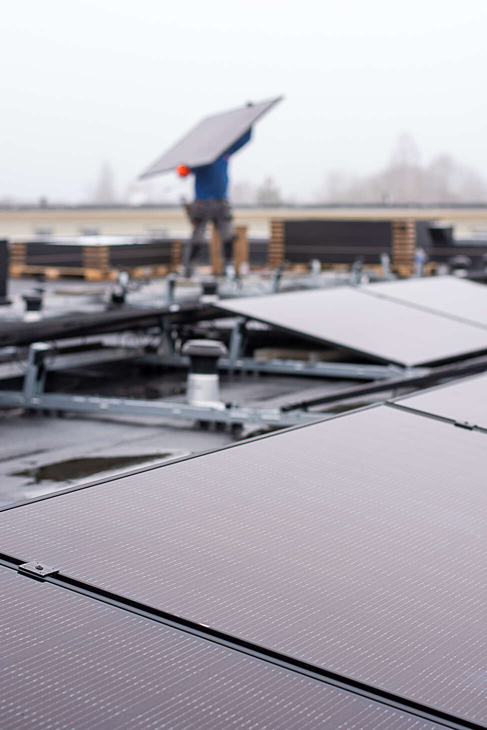 Energy Protect helpt bedrijf met duurzaam ondernemen met plaatsing zonnepanelen